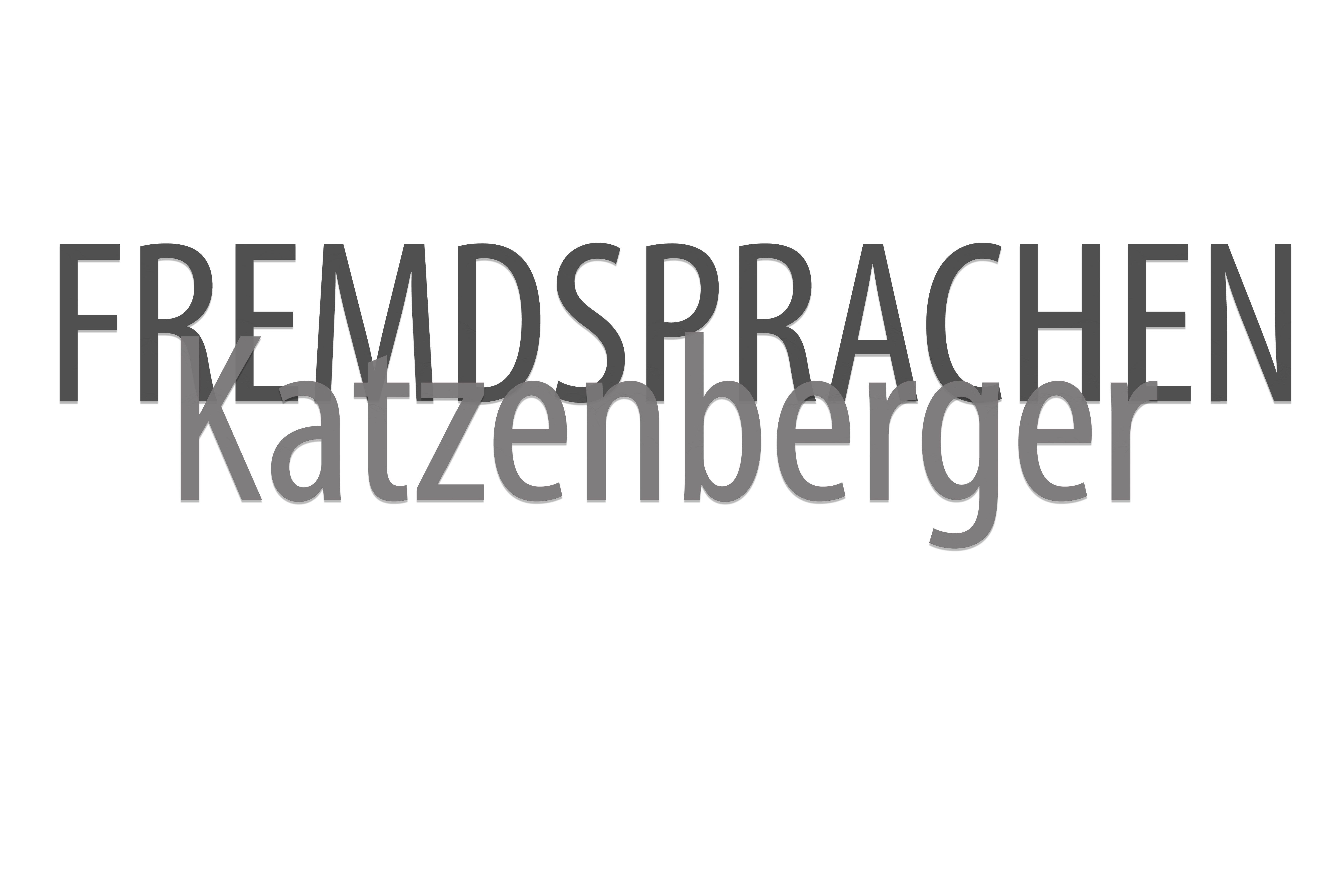 technischer Dolmetscher; technischer Dolmetscher französisch; Dolmetscher französisch; Technik; Dolmetscher; Übersetzer; Dolmetscherin; Übersetzerin; französich; englisch; spanisch; Dolmetscher Technik; Dolmetscher Technik französisch; Dolmetscher französisch deutsch